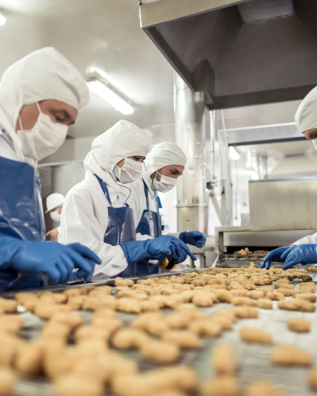 Industria Alimentaria